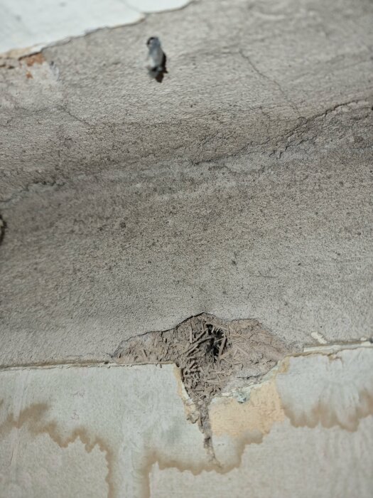 Gråaktig isolering synlig i skadat innertak i äldre hus, troligen träullit.