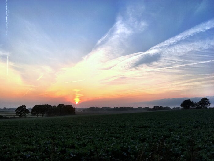 En solnedgång på en gård, med en vidsträckt himmel som skiftar i blått, orange och rosa nyanser, samt mörka silhuetter av träd och mark.