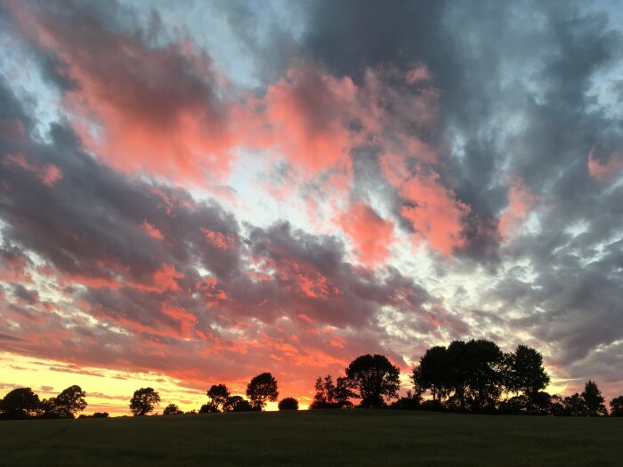 Solnedgång över en gård med silhuetter av träd mot en dramatisk himmel i rosa och grå toner.