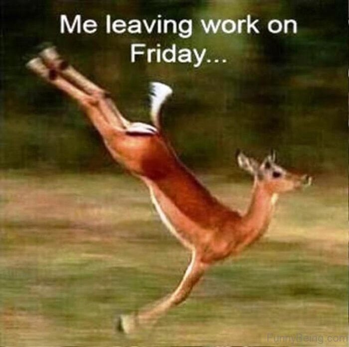 Hoppande hjort med texten "Me leaving work on Friday..." i skogen.