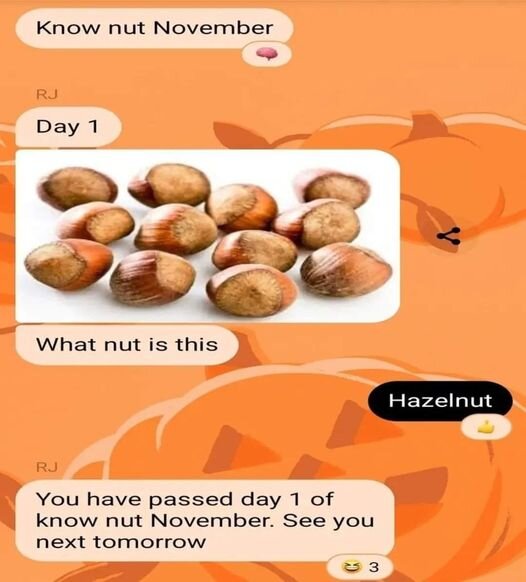 Bild av ett meddelande i en chat med valnötter i fokus, texten handlar om "Know nut November" och att identifiera nöten som en hasselnöt.