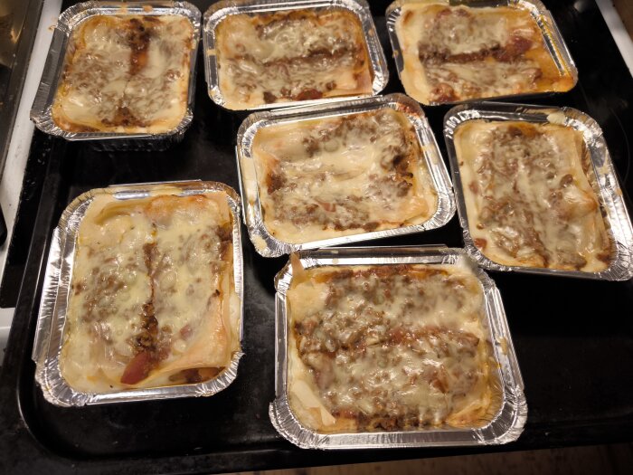 Sju portionsformar med lasagne, krämigt gratinerade med ost.