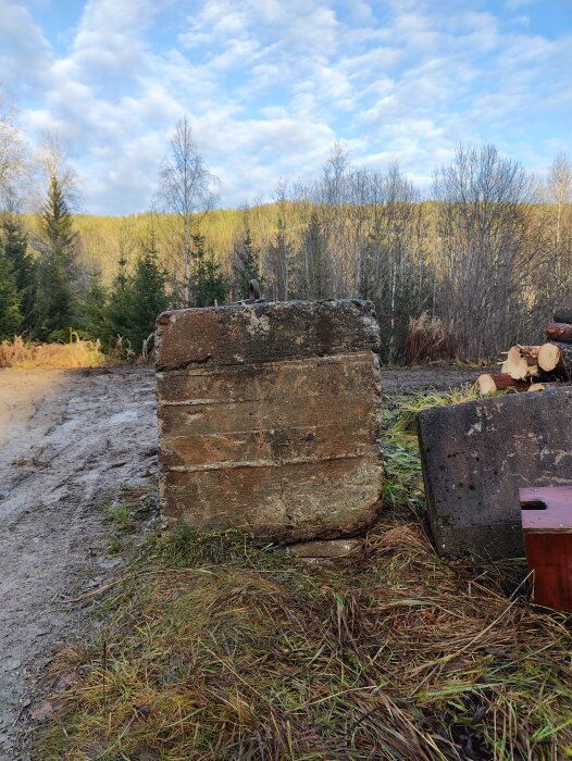 Betongblock i skogsmiljö med skogsbryn i bakgrunden och en grusväg vid sidan.