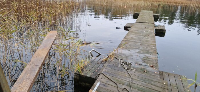 Brygga vid vasskant med delvis nedsjunken båt i sjön, rep på bryggan och en metallstege som leder ned i vattnet.