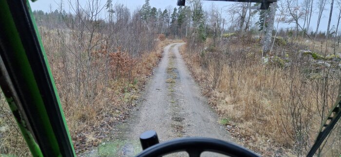 Vy från en grön traktor som kör på en smal skogsväg kantad av buskar och träd, en typisk landsbygdsscen.