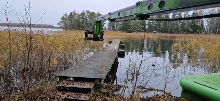 Grön kran vid sjö, växtbeklädd strand, träbrygga över vattnet, höstlöv på marken.