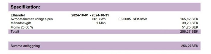 Elräkning från oktober 2024, visar 661 kWh för 256,27 SEK med rörligt elpris och månadavgift. Diskrepans i förbrukning omnämns i texten.