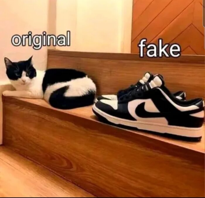 Svartvit katt liggande på ett trappsteg, märkt "original", bredvid en svartvit sko som påminner om katten, märkt "fake".