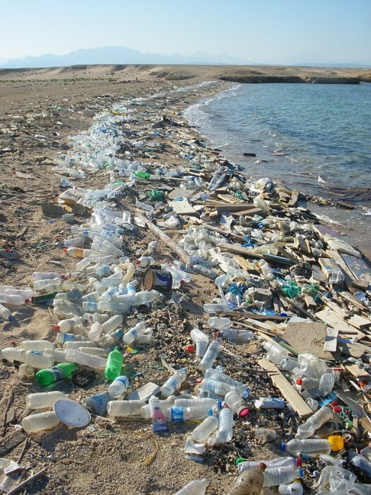 Strand med skräp och plastflaskor längs vattenkanten, ökenområde i bakgrunden, temat från 90-talets resa i Mellanöstern.