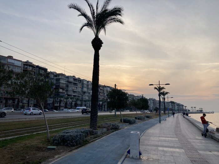 Strandpromenad med palmer vid solnedgång, byggnader i bakgrunden och en person som står med en scooter.