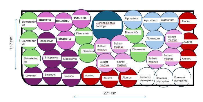 Plan över en tät rabatt med olika växter som bollistel, solhatt, lavendel och alunrot. Måtten är 117 cm x 271 cm.