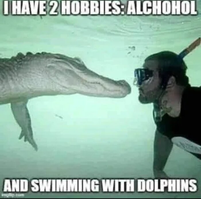 En person med snorkel möter en alligator under vattnet, med text ovan och under bilden: "I have 2 hobbies: Alcohol and swimming with dolphins.