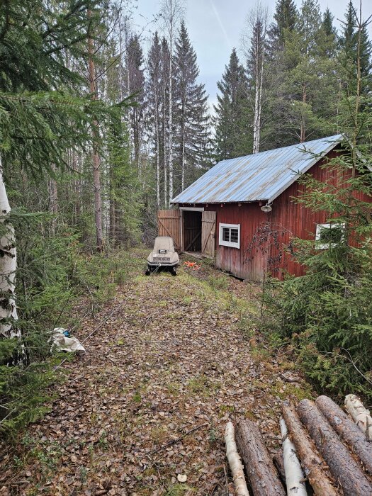 Röd lada med plåttak i skogsmiljö, omgiven av granar och trädstammar. En lutad snöskoter står framför ladan.