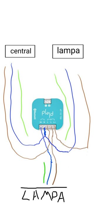 Diagram över elinstallation med kopplingsschema för lampa och strömbrytare, skyddsjord kopplad utanför enheten märkt "Plejd".