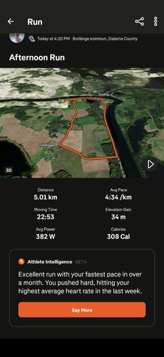 Löpningens rutt visas på en karta i Borlänge kommun. Distans 5.01 km, medelhastighet 4:34/km, tid 22:53, höjdmeter 34, brända kalorier 308.