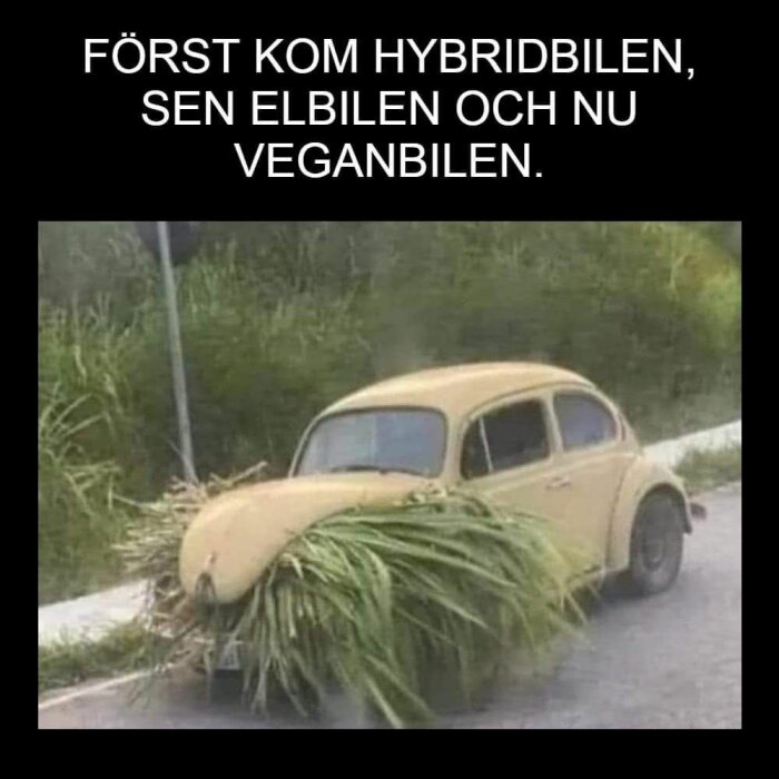 Gul gammal bil med gröna växter på fronten och text om hybrid-, el- och veganska bilar på svart bakgrund.