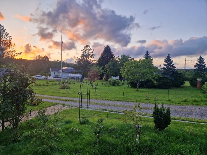 Trädgård vid solnedgång, med frodig gräsmatta, träd och buskar. En bil och ett hus syns i bakgrunden under en dramatisk himmel.