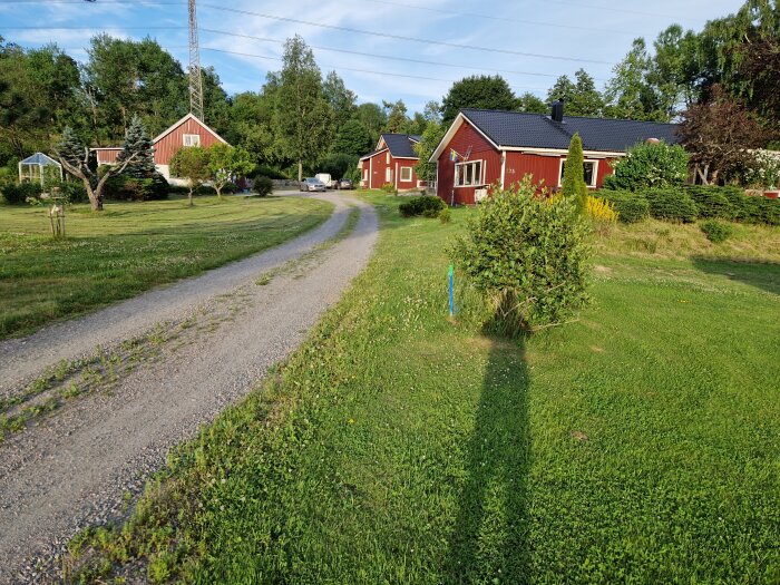 Grönskande trädgård med stugor och grusväg, omgiven av träd och buskar. Perfekt för trädgårdsarbete i naturskön miljö.