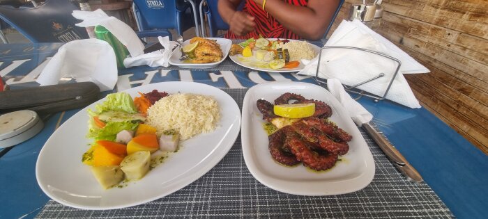 Tallrikar med bläckfisk och grönsaker, serverade med ris på en restaurang. En person i röd klänning vid bordet.