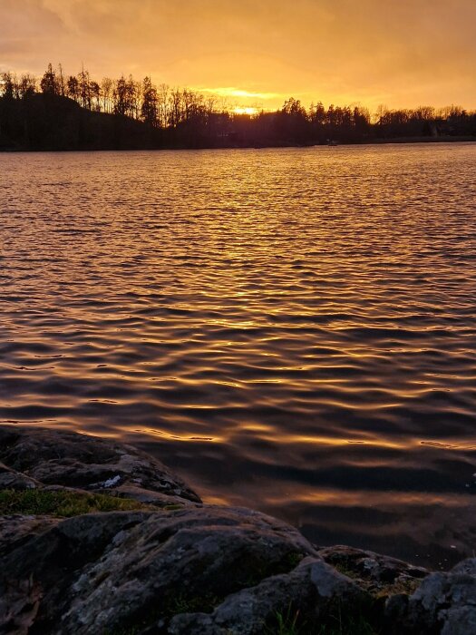 Solnedgång över en lugn sjö, omgiven av skog och klippor i förgrunden.