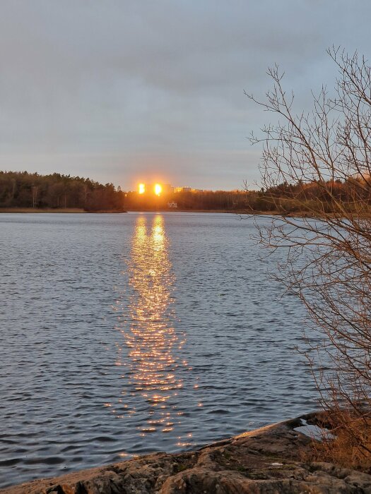 Solnedgång reflekterad i en sjö under en molnig dag med nakna trädgrenar i förgrunden.