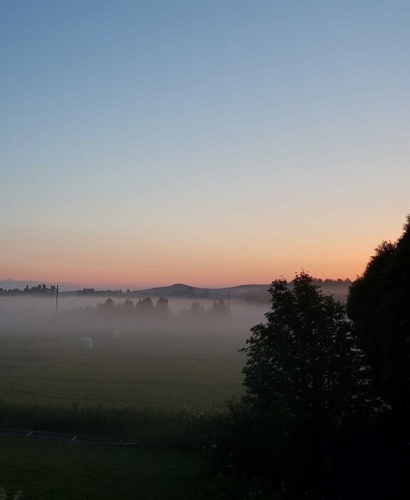 Dimhöljd äng med skog i bakgrunden vid solnedgång, himlen skiftar i blått och orange.