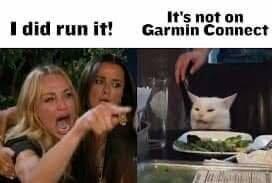 En kvinna pekar ilsket medan en vit katt ser skeptisk ut vid ett bord. Text: "I did run it!" och "It's not on Garmin Connect".