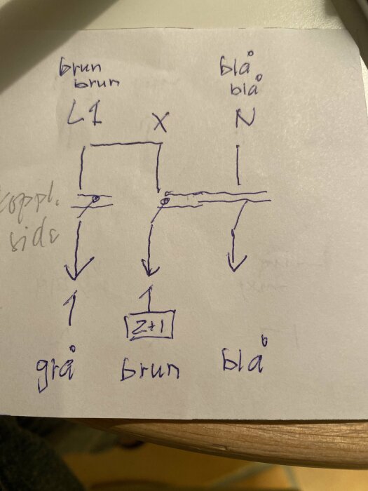 Elektrisk skiss med färgkodning: brun L1, blå N, grå, brun och blå kablar med markeringar, inklusive "Z+1" i rutan.