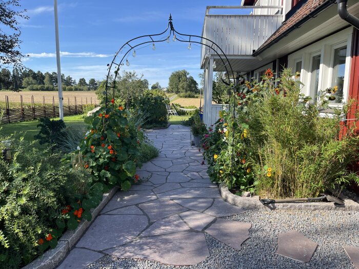 Stenlagd gång i trädgård med kantsten, färgglada blommor och bågformad ljusslinga vid hus.