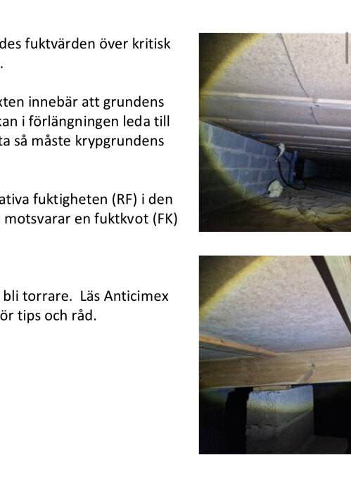 Fuktfläckar på grundmur i krypgrund, syns i ficklampans sken. Väggen är av murad betong.