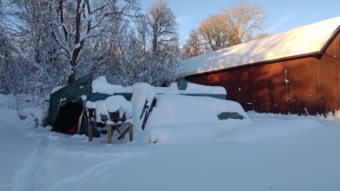 Snötäckt gård med ett tält och en byggnad i bakgrunden, omgiven av snöiga träd, efter ett snöfall.