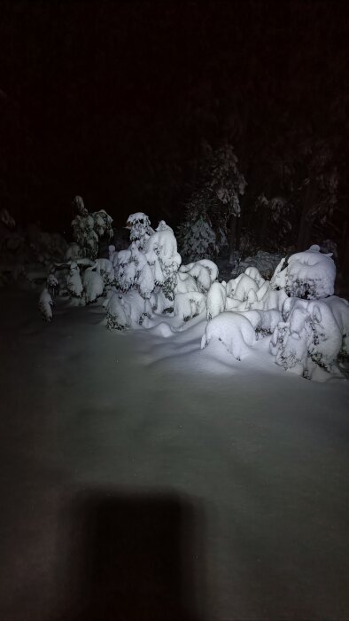 Snötäckt väg under natthimmel där betongbilen passerade, omgiven av snötyngda träd och buskar.