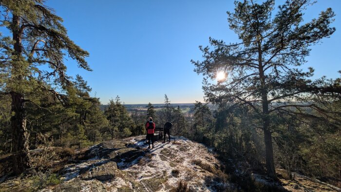 Två personer står på en klippa omgiven av tallskog med utsikt över ett landskap under en solig dag.