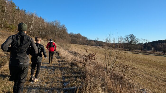 Tre personer springer på en stig i ett öppet landskap med träd i bakgrunden och en klarblå himmel.