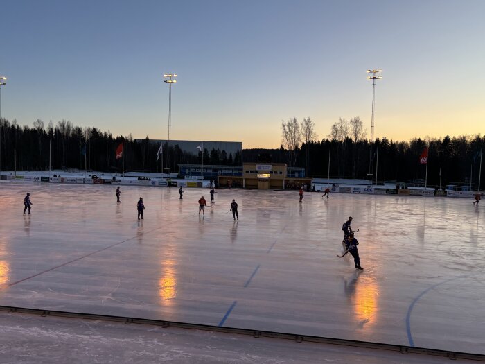 Människor spelar bandy på en utomhusis under kvällstid med strålkastare som lyser upp banan. Skog och byggnader syns i bakgrunden.