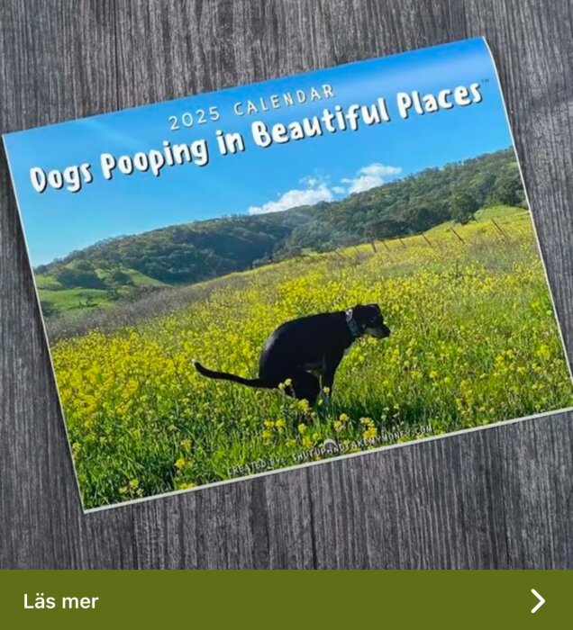 Kalender för 2025 med titeln "Dogs Pooping in Beautiful Places", visar en hund i ett blomsterfält.