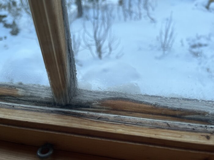 Fönster med kondens och tecken på röta i träramen i en stuga i Jämtlandsfjällen. Snöigt landskap syns utanför.