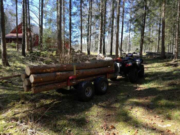 Fyrhjuling med släpvagn lastad med stockar i en skog nära ett rött hus.