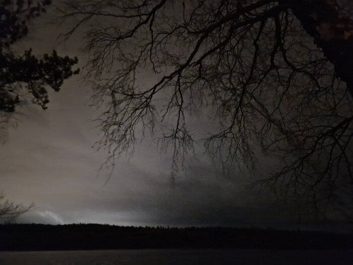 Vy från en udde under gryningen med mörka trädgrenar mot en gråaktig, molnig himmel och en horisont längst ner.