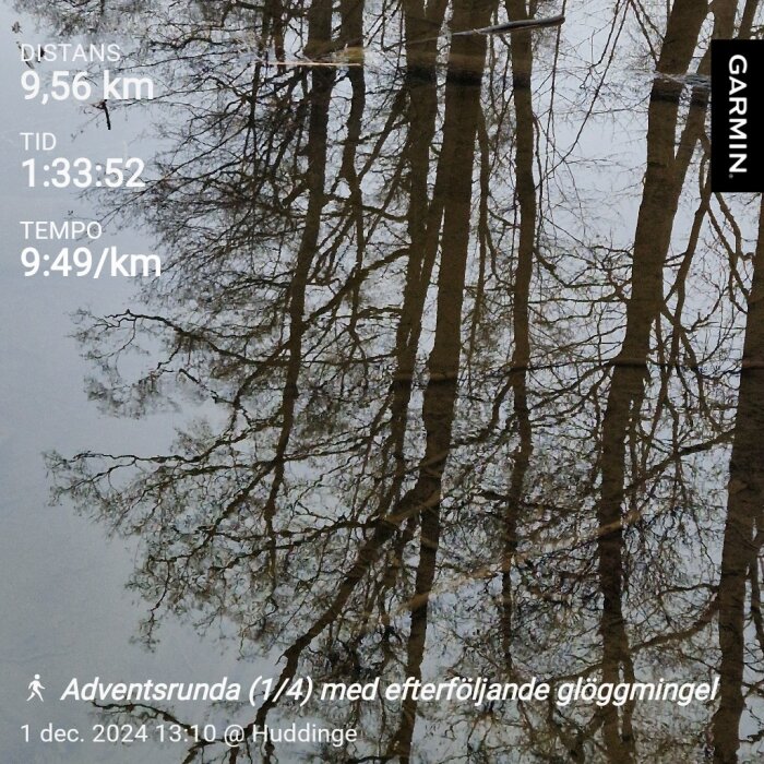 Reflektion av träd i vatten med löv och grenar, samt löpstatistik från ett Garmin-pass på 9,56 km, tid 1:33:52, tempo 9:49/km i Huddinge, 1 dec 2024.