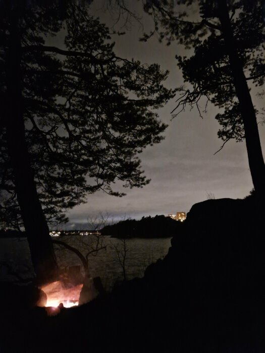 Lägereld vid en sjö om natten, omgiven av träd och med stadsljus i bakgrunden.