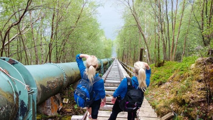 Två personer med ryggsäckar går nerför en lång, brant trappa omgiven av grön skog i Flørlitrappene, Norge.