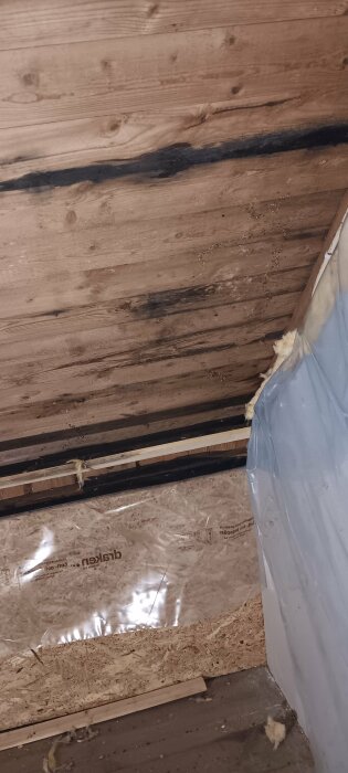 Blöt och svart råspont i kattvind med plast och isolering synliga, problem med fukt identifierat inför tilläggsisolering och reparation.