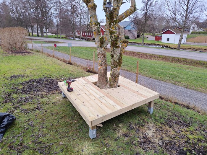 Trätrall byggd runt ett träd i en trädgård, med verktyg på plats.