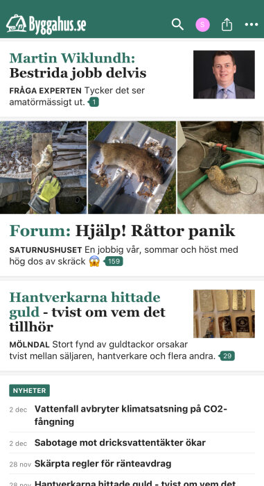 Bild med avliden råtta på en plåt utomhus och en annan på golv vid gröna kablar, från forumdiskussion om råttproblem.