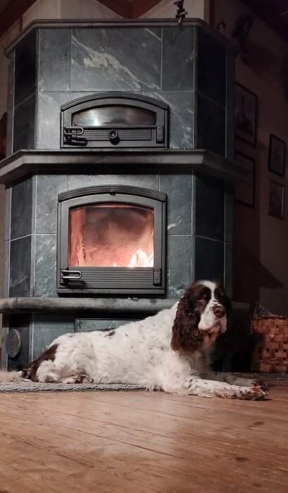 En täljstenskamin med eld brinnande bakom glasluckan, en hund ligger avslappnad på golvet framför kaminen i ett hem med trägolv.