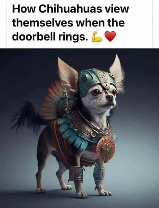 Chihuahua.jpg