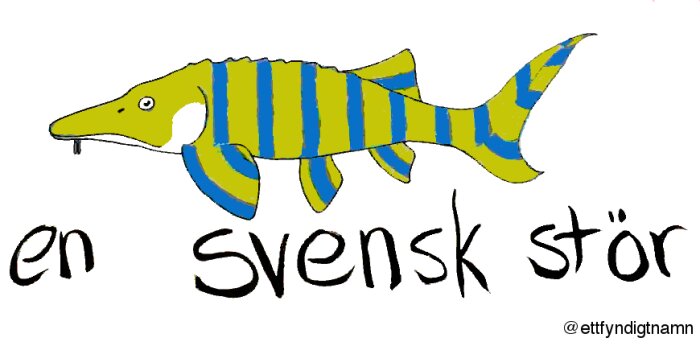 Illustration av en fisk i gult och blått med texten "en svensk stör".