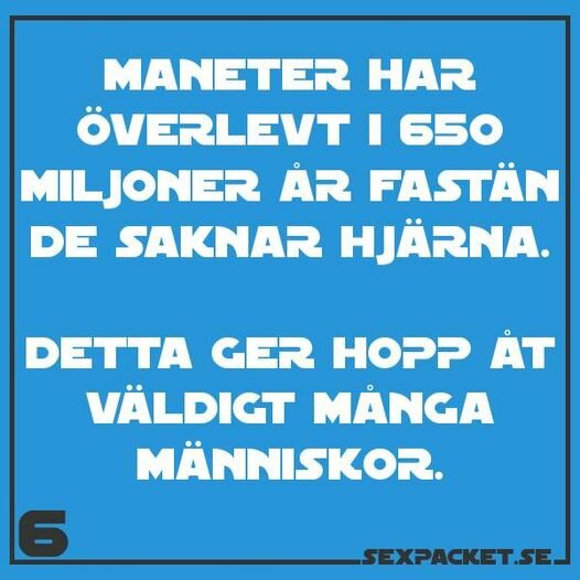 Textbild med humor om maneters överlevnad i 650 miljoner år utan hjärna och att det ger hopp till människor.