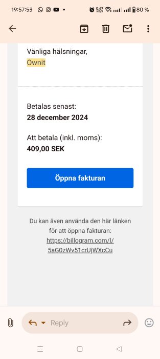 Faktura från Ownit, betalningsdeadline 28 december 2024, belopp 409,00 SEK. Knapp för att öppna fakturan samt länk för fakturaåtkomst.